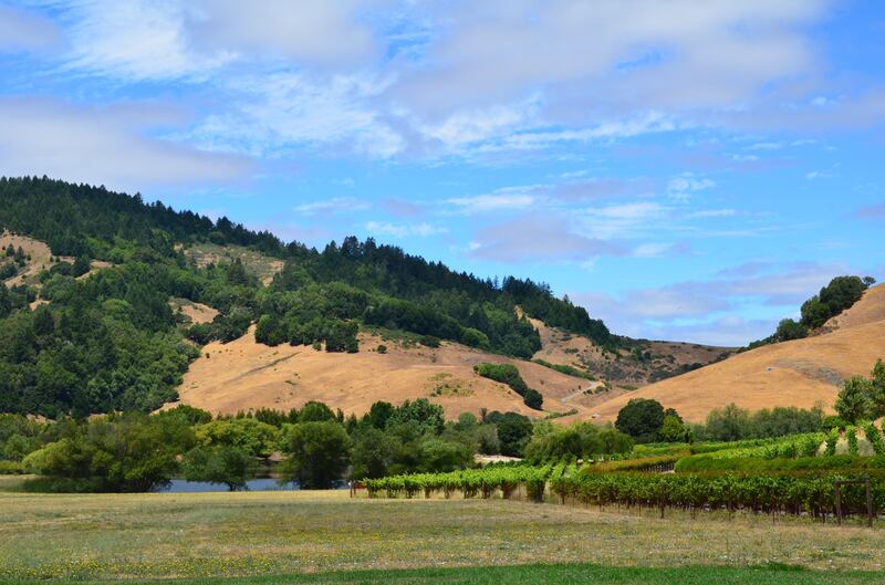 The sprawling Skywalker Ranch covers a 1,900-hectare site. AFP