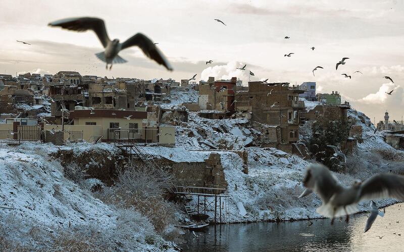 Seagulls fly over the Tigris in Mosul.   AFP