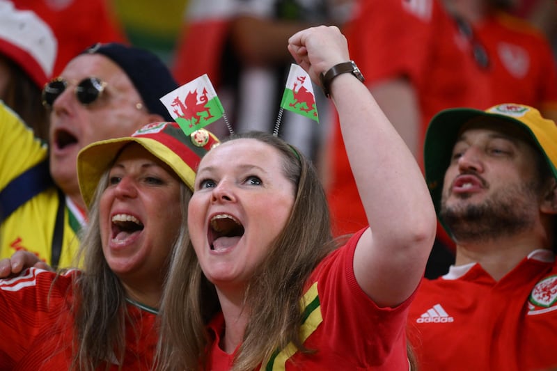 A Wales fan cheers her team. AFP