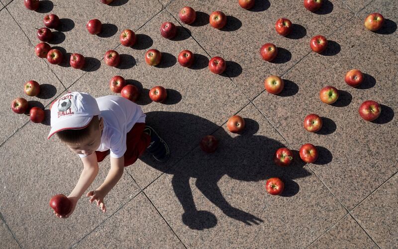 A boy sits among apples during the Apple Festival at City Day celebrations in Almaty, Kazakhstan. Shamil Zhumatov / Reuters