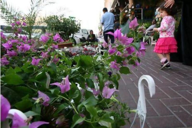 Shoppers browse the Fresh Flowers shop in Al Hudaiba Street, better known as Plant Street, in Dubai's Satwa area. Pawan Singh / The National