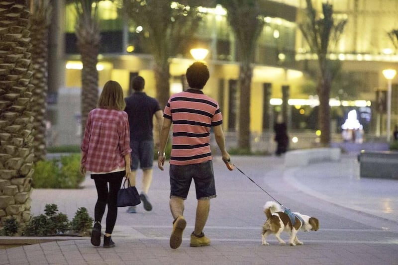 Pet owners are unhappy at the clampdown on walking their dogs at the Dubai Marina promenade. Property developer Emaar has posted signs banning dogs on the Marina Walk, leaving owners with few options when it comes to exercising their pets. Jaime Puebla / The National 

