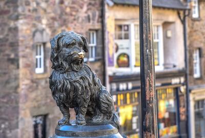 Greyfriars Bobby died 150 years ago but is immortalised in stone in Scotland's capital. Ronan O'Connell for The National