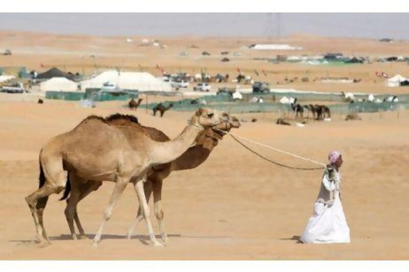 Abu Dhabi is encouraging more Emiratis to take up tourism as a career especially in events like Liwa's date and Al Dhafra camel festival. Jaime Puebla / The National