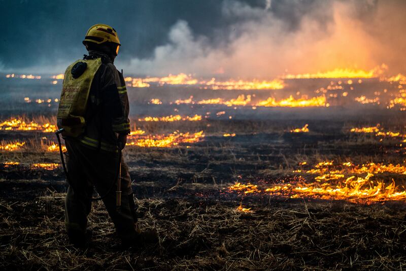 A firefighter monitors a blaze in Ercilla, Chile, where many other wildfires are raging. EPA

