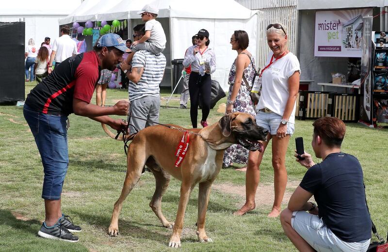 ABU DHABI , UNITED ARAB EMIRATES , APRIL 13   – 2018 :- People taking photos of pets during the pet festival held at DU arena on Yas Island in Abu Dhabi. ( Pawan Singh / The National ) For News