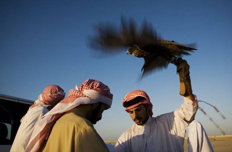 The UAE is leading the international effort to enshrine falconry in world cultural heritage. Lauren Lancaster / The National