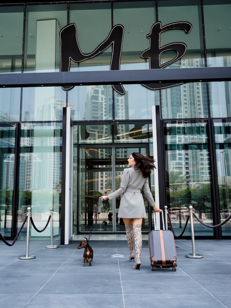 Dogs are welcome to stay at the stylish ME Dubai, designed by the late Zaha Hadid. Photo: ME Dubai