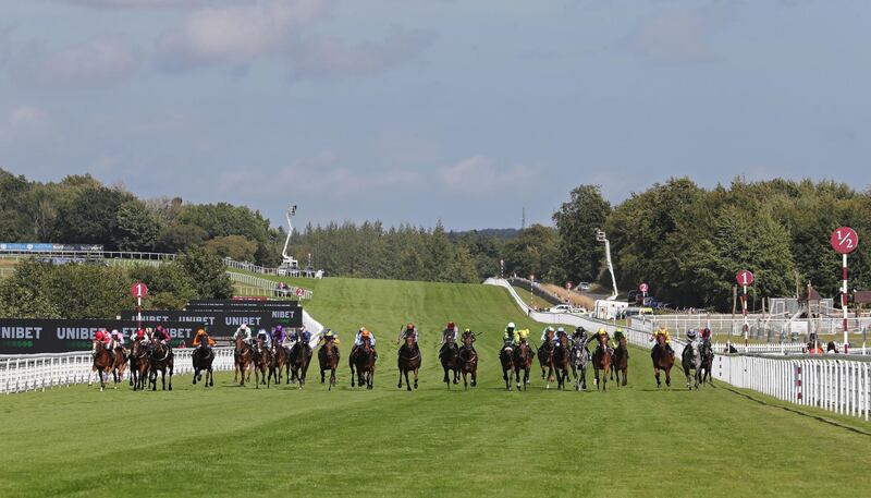 Runners and riders in the Stewards' Cup during Day 5 of the Goodwood Festival in England, on Saturday August 1. PA