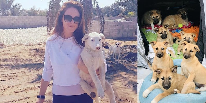 Sandi Thom runs the Bahrain Animal Rescue Centre. Sandi Thom / Instagram