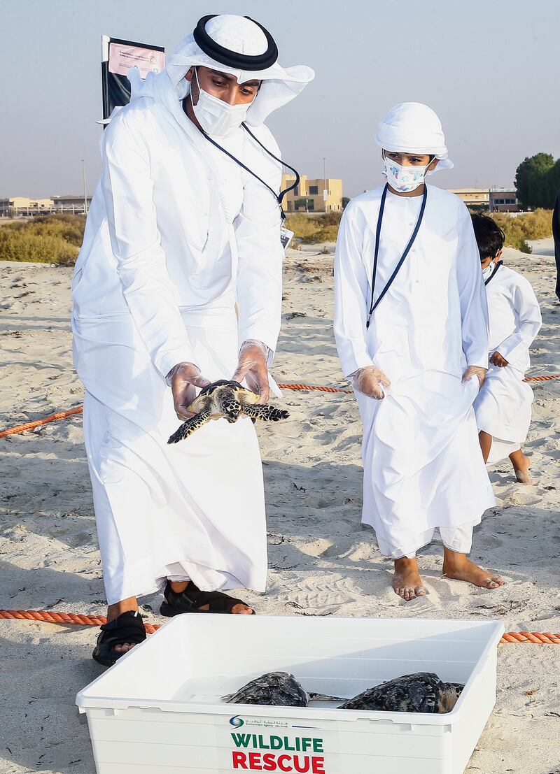The 17 rehabilitated turtles entered the waters in the Al Dhafra region.