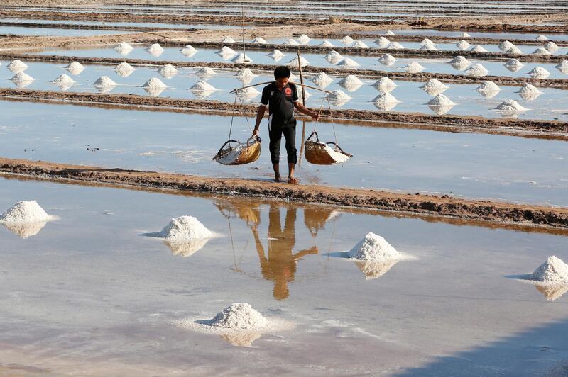 A Cambodian farmer works in a salt mine in Kampot province, Cambodia.  EPA