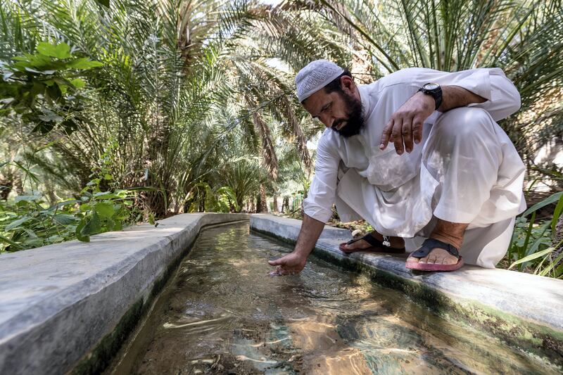 Al Ain, United Arab Emirates - Reporter: N/A: Shams dips his hands into the falaj at Al Ain Oasis. Tuesday, December 17th, 2019. Al Ain Oasis, Al Ain. Chris Whiteoak / The National