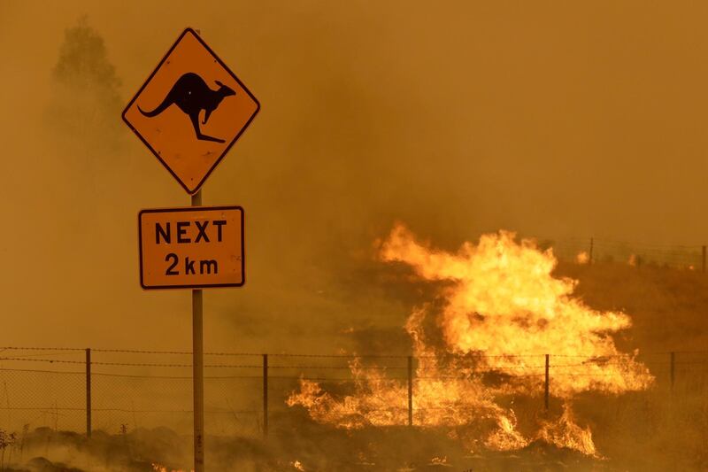 FILE - In this  Feb 1, 2020, file photo, a fire burns in the grass near Bumbalong, south of the Australian capital, Canberra. Australia has sweltered through its fourth-hottest year on record despite the usually cooling impact in recent months of the La Nina climate pattern, the nationâ€™s weather bureau said on Friday, Jan. 8, 2021. (AP Photo/Rick Rycroft,File)