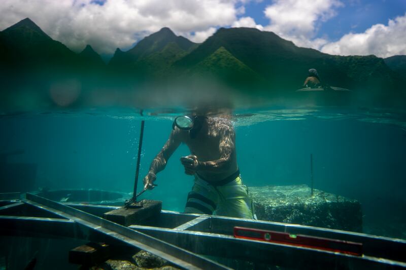 A worker inspects the foundations of a judging tower being built on the coral reef in Teahupo'o, Tahiti, French Polynesia, for the Paris Olympic Games surf competition. AP