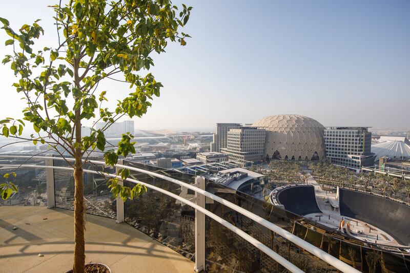 here are ten yellow flame trees planted on the upper floor which are accessible via rotating cabins from the ground floor or basement.