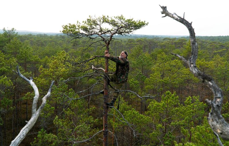 Belarusian ornithologist Vladimir Ivanovski, 72, stands on a tree as he builds an artificial nest for birds of prey  in a marsh near the village of Kazyany, Belarus. Reuters