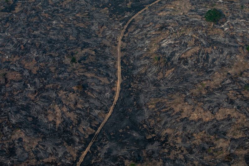 An aerial view of a section of the Amazon rain forest in Brazil devastated by wild fires. A year before the 1992 UN Earth Summit in Brazil, Prince Charles held an informal reception for delegates on the royal yacht Britannia. Getty Images