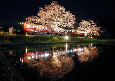 epaselect epa07490374 A view of a two-car train on the local Kominato railway line with cherry blossoms in full bloom, which are reflected on the water of a rice paddy field, at a station in Ichihara, Chiba Prefecture, east of Tokyo, Japan, 07 April 2019. Japan's cherry blossoms in full bloom attract visitors as the temperature in the city rose to 20.7 degrees Celsius, 3.3 degrees higher than usual.  EPA/KIMIMASA MAYAMA