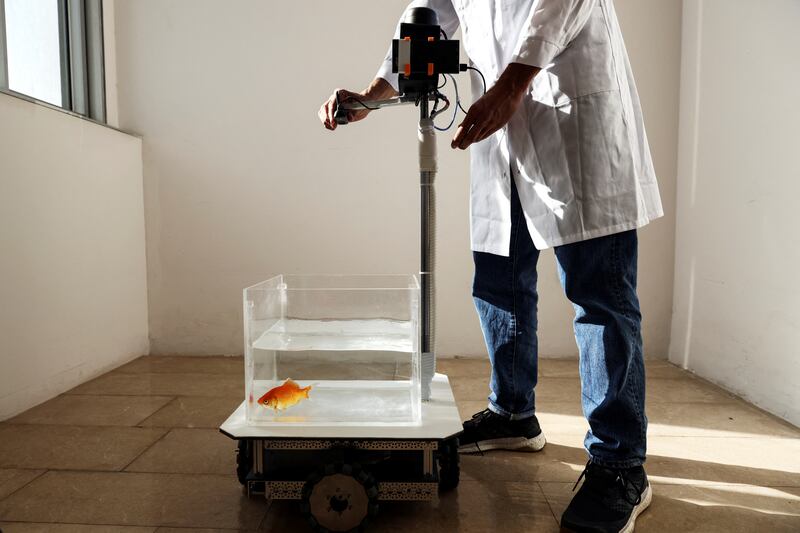 A researcher adjusts a fish-operated vehicle, developed at Ben-Gurion University in Israel. All photos: Reuters