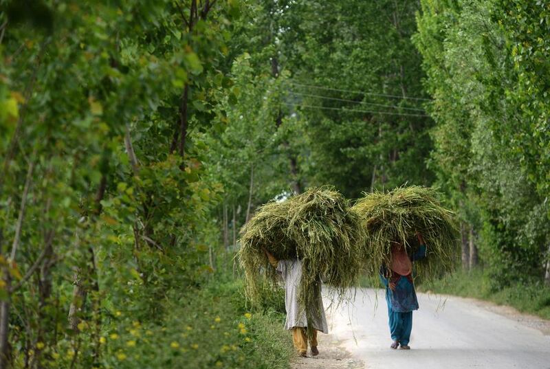 Kashmiri muslim women carry fodder for cattle near a gunbattle between Indian army soldiers and suspected armed rebels at Chadoora, on the outskirts of Srinagar, India. Tauseef Mustafa / AFP
