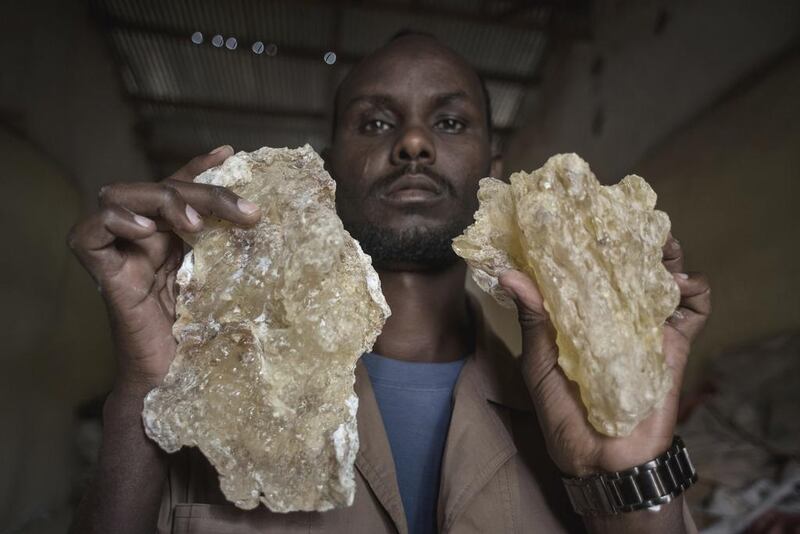 A man holds up two large tears of maydi, the large, most expensive chunks of frankincense resin, in Burao, Somaliland.