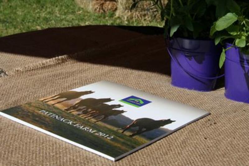 A brochure from Patinack Farm's stallion parade last summer - now the racing facility is up for sale.