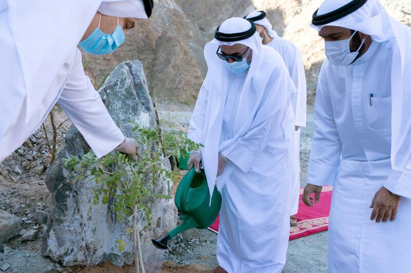 Dr. Sheikh Sultan bin Muhammad Al Qasimi, Supreme Council Member and Ruler of Sharjah, launched Thursday morning, a qualitative environmental initiative represented in planting a number of mountains located on Sharjah-Khorfakkan Road with several kinds of long-living trees that are commensurate with the prevailing nature of that region. Wam