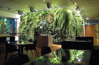 A project by Vertical Garden Design in Stockholm