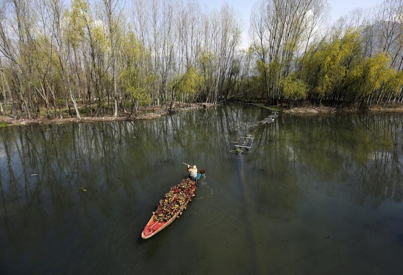 A Kashmiri woman rows a boat loaded with weeds collected from the Dal Lake in Srinagar.  Danish Ismail / Reuters