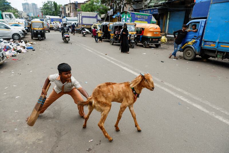 A boy pushes a goat after it disrupted a street cricket match in Mumbai, India. Reuters