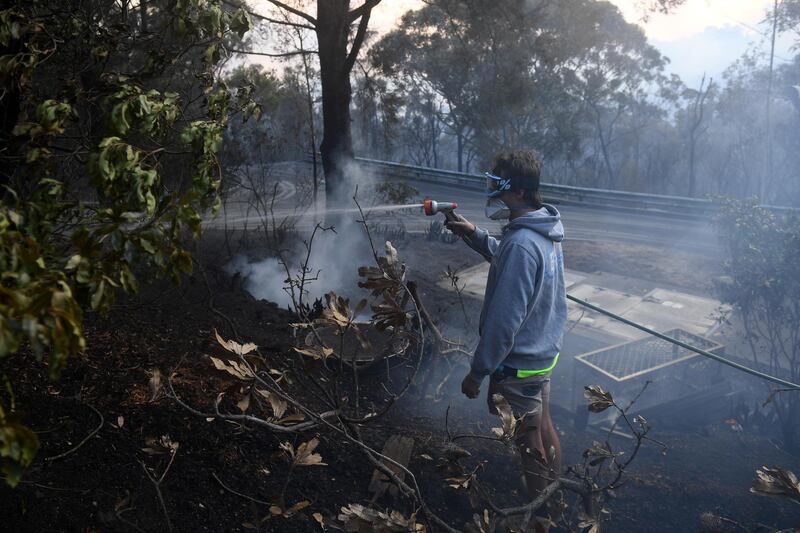 A resident hoses smouldering logs as a bushfire burns in Woodford, New South Wales (NSW), Australia. EPA