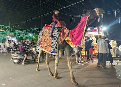 A child enjoying a camel ride at Old Delhi. Taniya Dutta/The National 