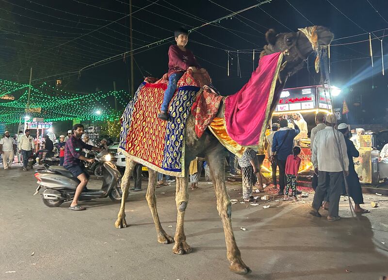 A child enjoying a camel ride at Old Delhi. Taniya Dutta/The National 