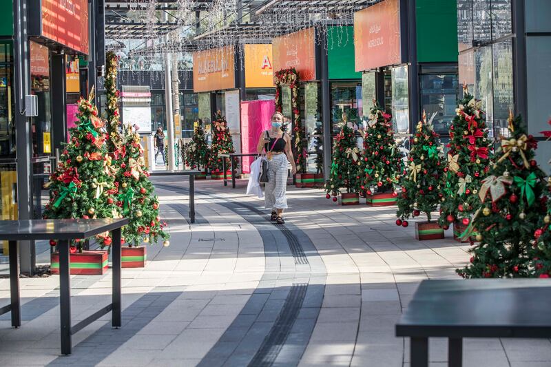 An avenue of Christmas trees laden with decorations.