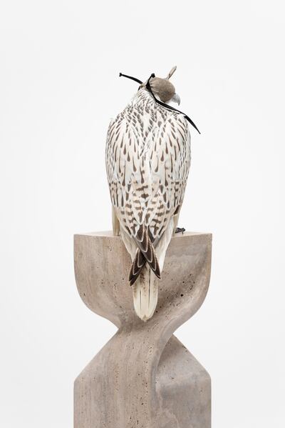 The Waker falcon perch. Photo: Natelee Cocks