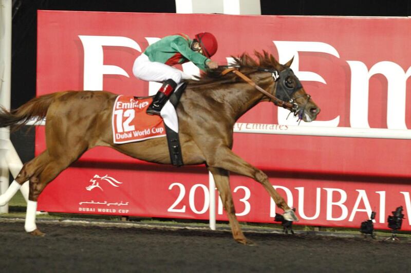 Event: Dubai World Cup, Dubai. Date: March 29. Animal Kingdom at the 2013 race. Razan Alzayani / The National