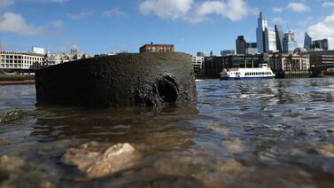 High levels of E-coli were found in the River Thames this year. EPA