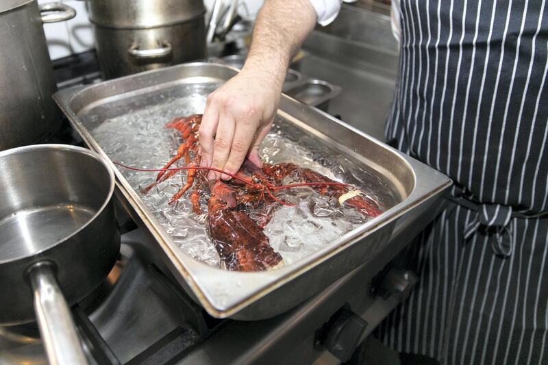 ABU DHABI, UNITED ARAB EMIRATES - MARCH 27, 2018. 

Chef Theodoris Rouvas, from Bentley Kitchen, prepares a Lobster Thermidor.

After euthanizing the lobster, Chef Theo places it in boiling water and cooks it till it turns red. He then lets it cool in ice water.

(Photo by Reem Mohammed/The National)

Reporter: 
Section: AC