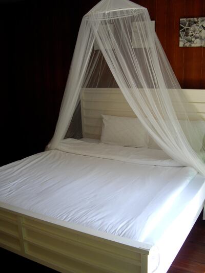 Travellers should be sure to sleep under a mosquito net when in high-risk Zika countries. Courtesy flickr