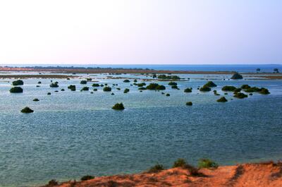The coast of Umm Al Quwain.