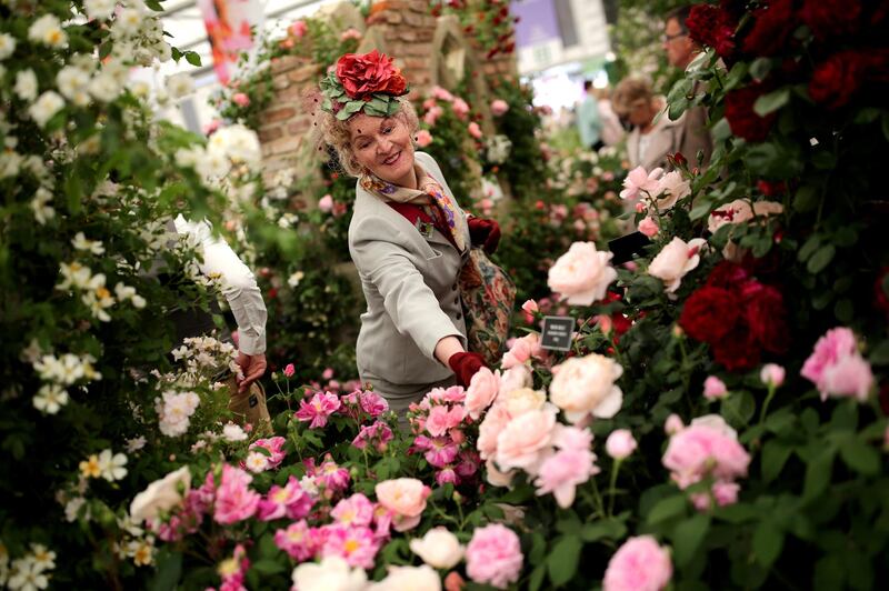 LONDON, ENGLAND - MAY 24:  Members of the public enjoy the gardens at the 2016 Chelsea Flower Show at Royal Hospital Chelsea on May 24, 2016 in London, England. The show, which has run annually since 1913 in the grounds of the Royal Hospital Chelsea, is open to the public from 24-28 May.  (Photo by Dan Kitwood/Getty Images)