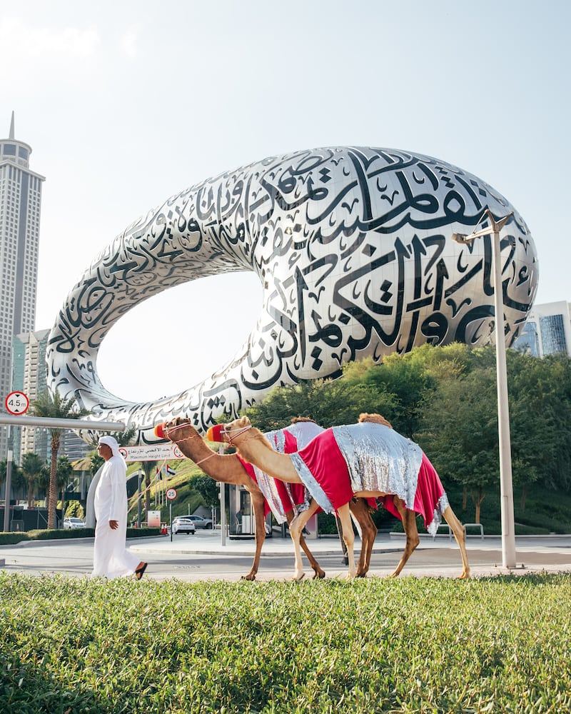 Visitors may spot a camel or two, dressed in pink to match the decor