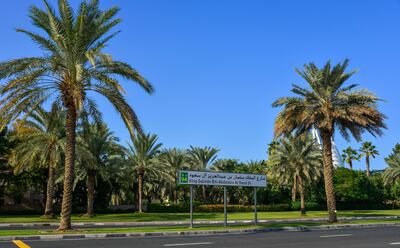 RABCXN Dubai, UAE - Dec 9, 2018. King Salman Bin Abdulaziz Al Saud Street with palm trees in Dubai.