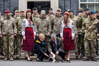 Ukraine's ambassador to the UK, Vadym Prystaiko, and his wife Inna meet Larry, the Downing Street Cat, at No 10 on the first anniversary of the invasion. EPA
