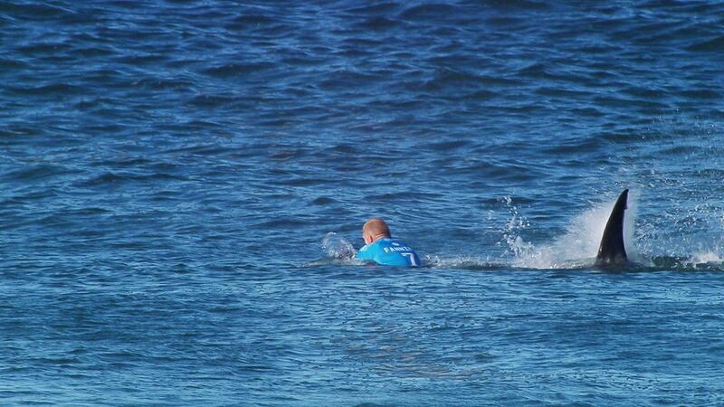 The moment Mick Fanning is attacked by a Great White Shark during a competition in South Africa in 2015. World Surf League / Reuters