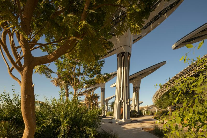 Elisa Ruggeri was involved in the construction of 17 pavilions at Expo 2020 Dubai, including the creation of the software behind the Energy Trees at Terra - The Sustainability Pavilion. Photo: Expo 2020 Dubai