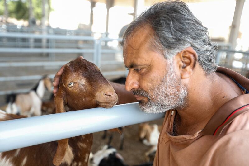 A goat at Al Quoz Abattoir in Dubai. Reuters