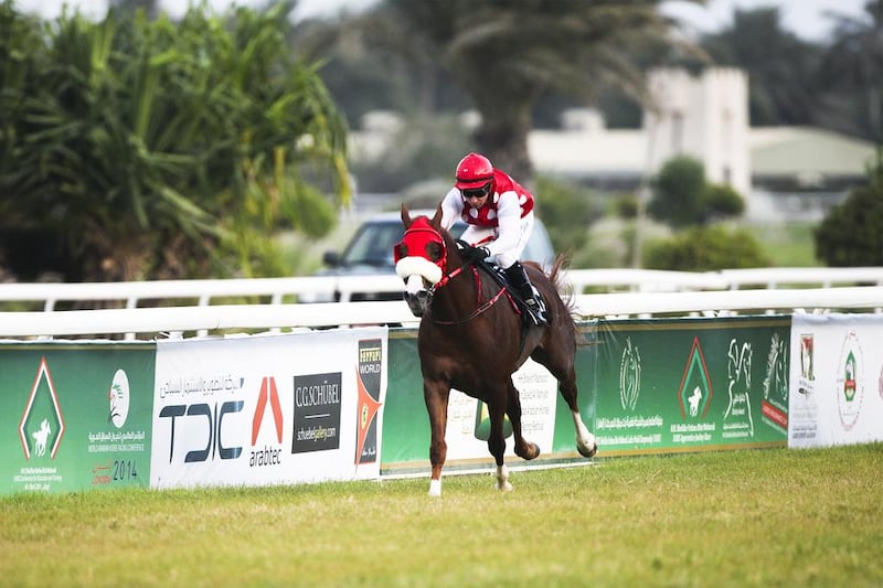 Jockey Tadgh O'Shea and trainer Ernst Oertel have become one of the most successful duos in UAE horse racing. Lee Hoagland / The National