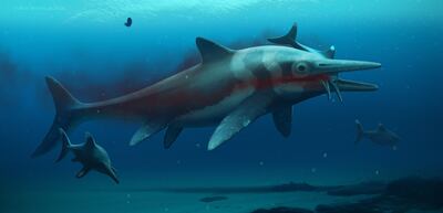 An artist impression of an ichthyosaur. PA
